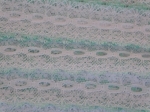 Feather Eyelet Lace Per Meter White/Mint